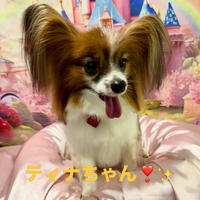 画像926