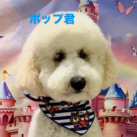 画像956