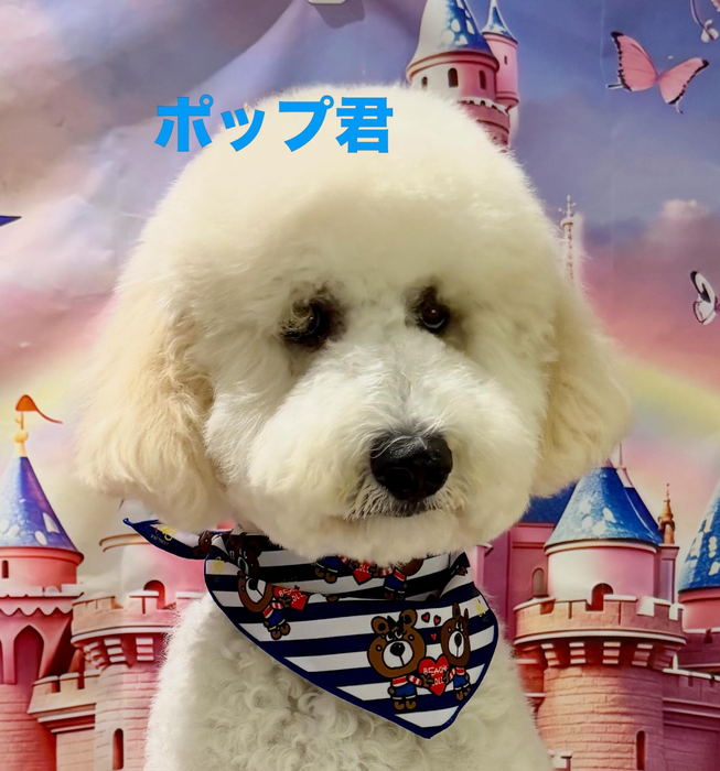 画像956