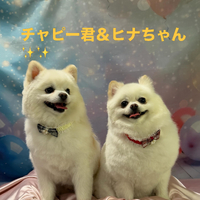 画像979