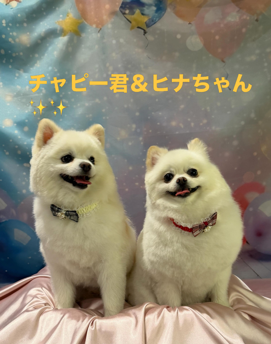 画像979