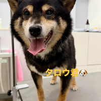 画像998