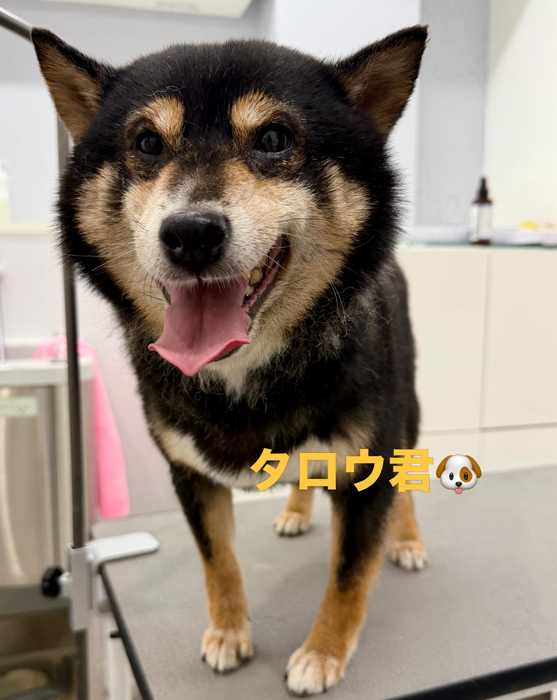 画像998