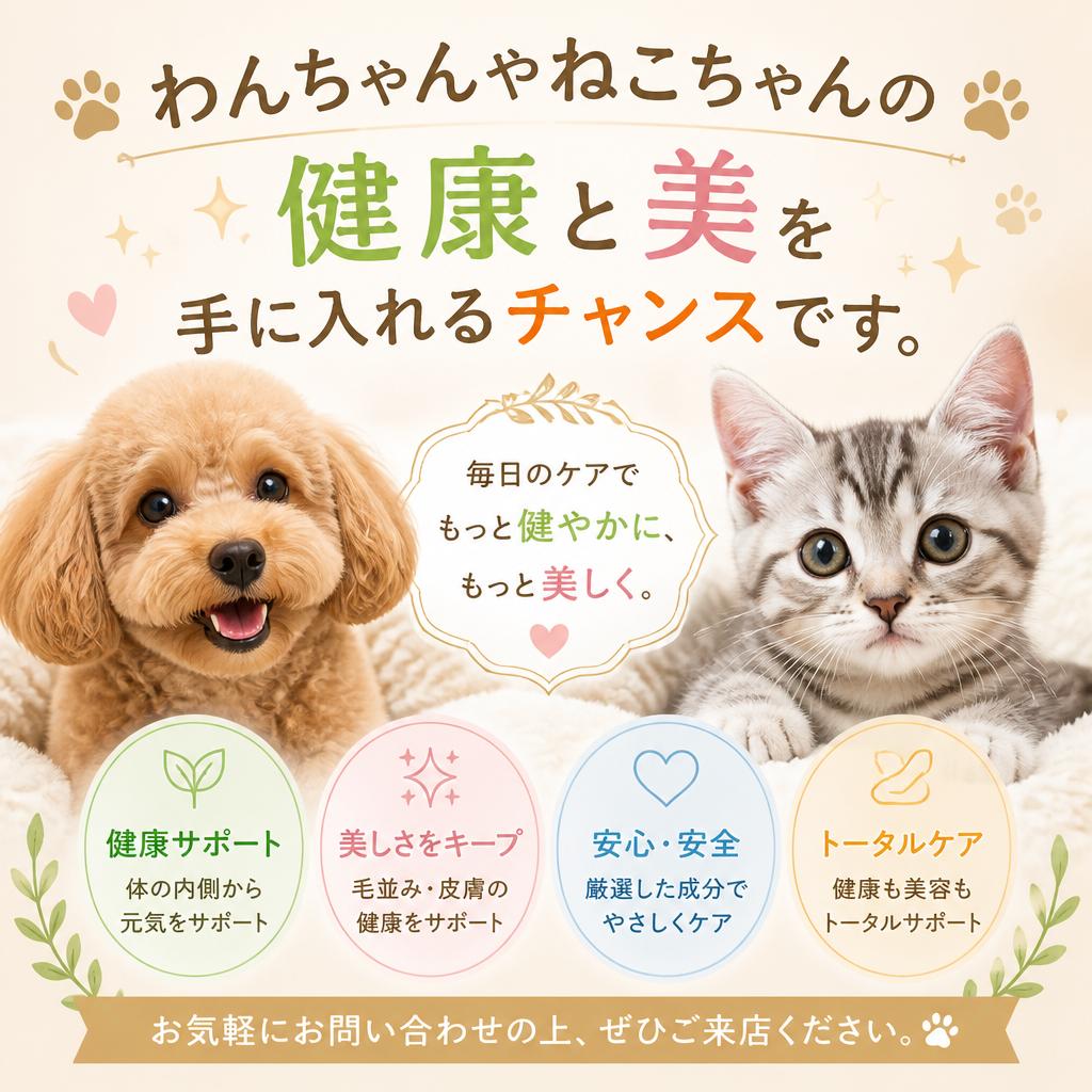 今すぐお問い合わせください！