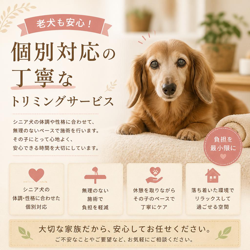 老犬も安心！個別対応の丁寧なトリミングサービス
