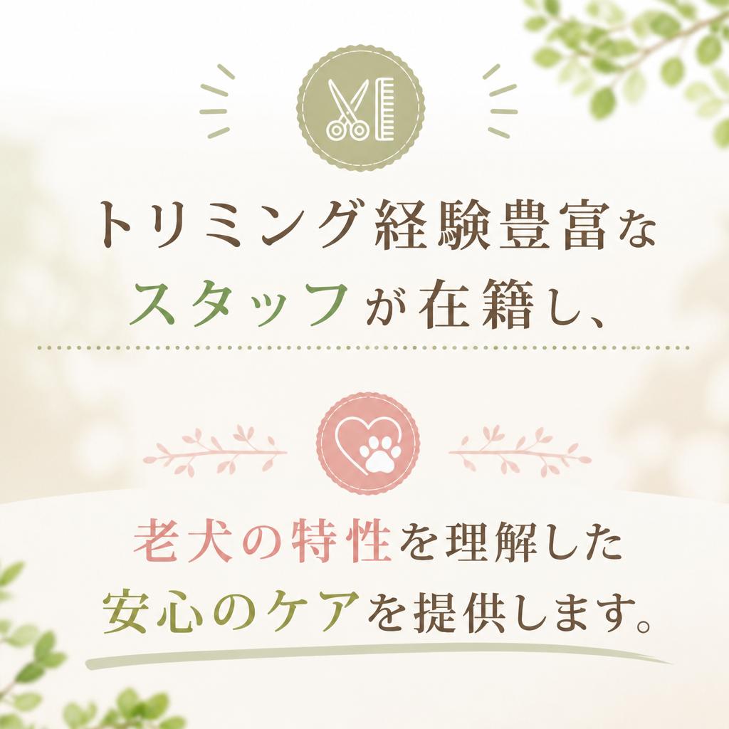 豊富な経験を持つスタッフ