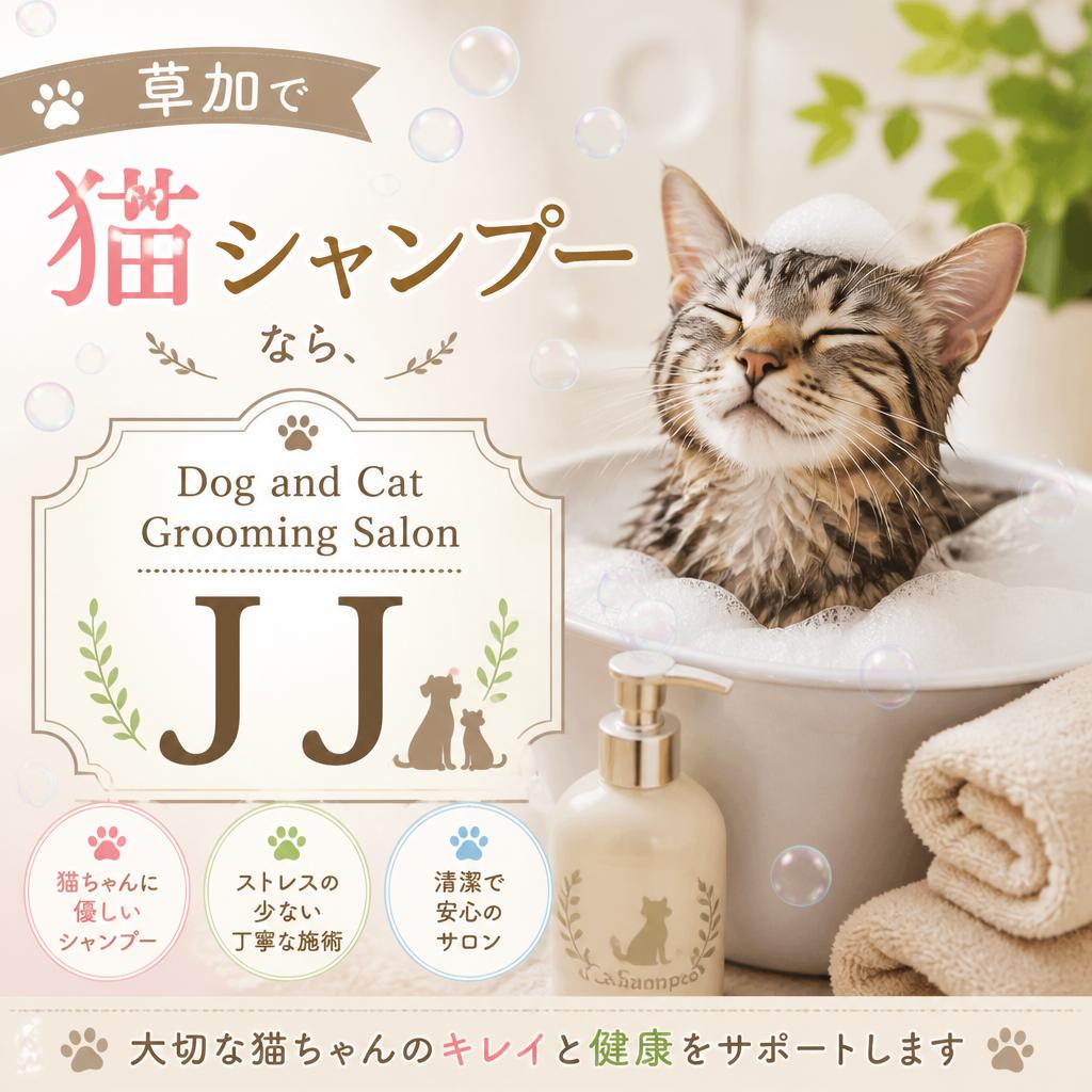 草加で猫シャンプーなら、Dog and Cat Grooming Salon JJ！