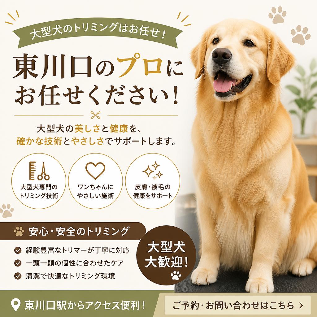 大型犬のトリミングはお任せ！東川口のプロにお任せください！