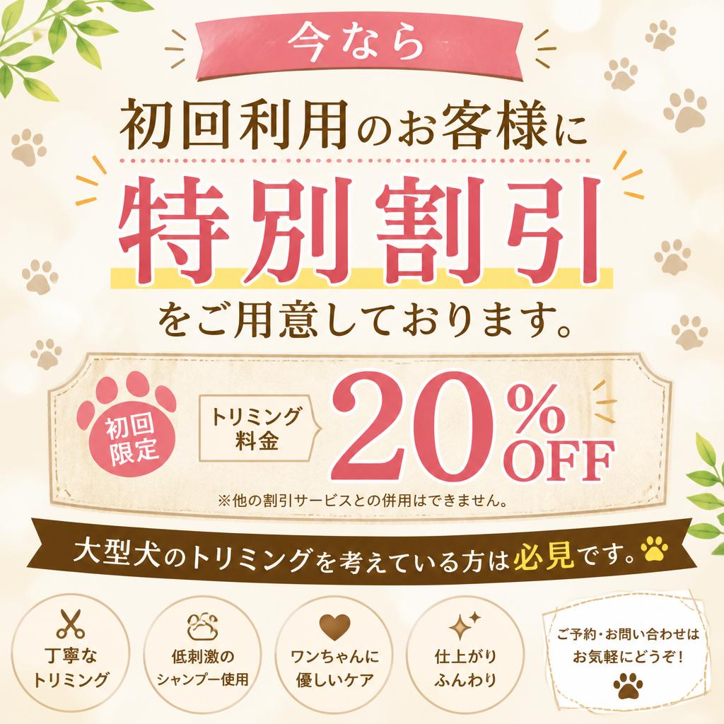 7. スペシャルオファー！