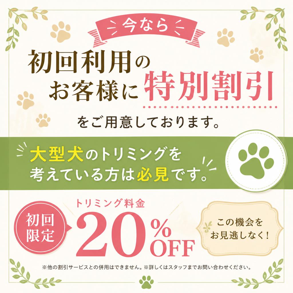 7. スペシャルオファー！