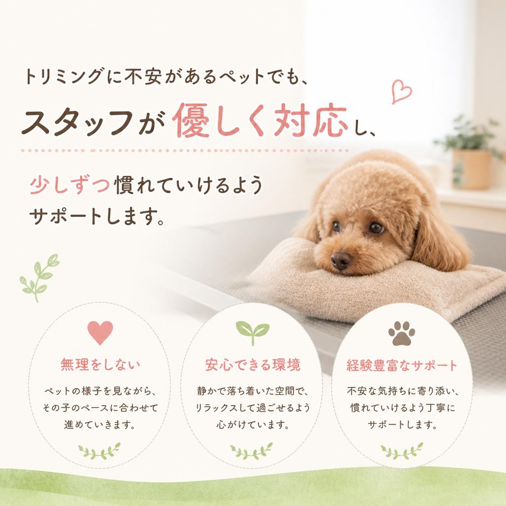 臆病な子や高齢のペットにも配慮