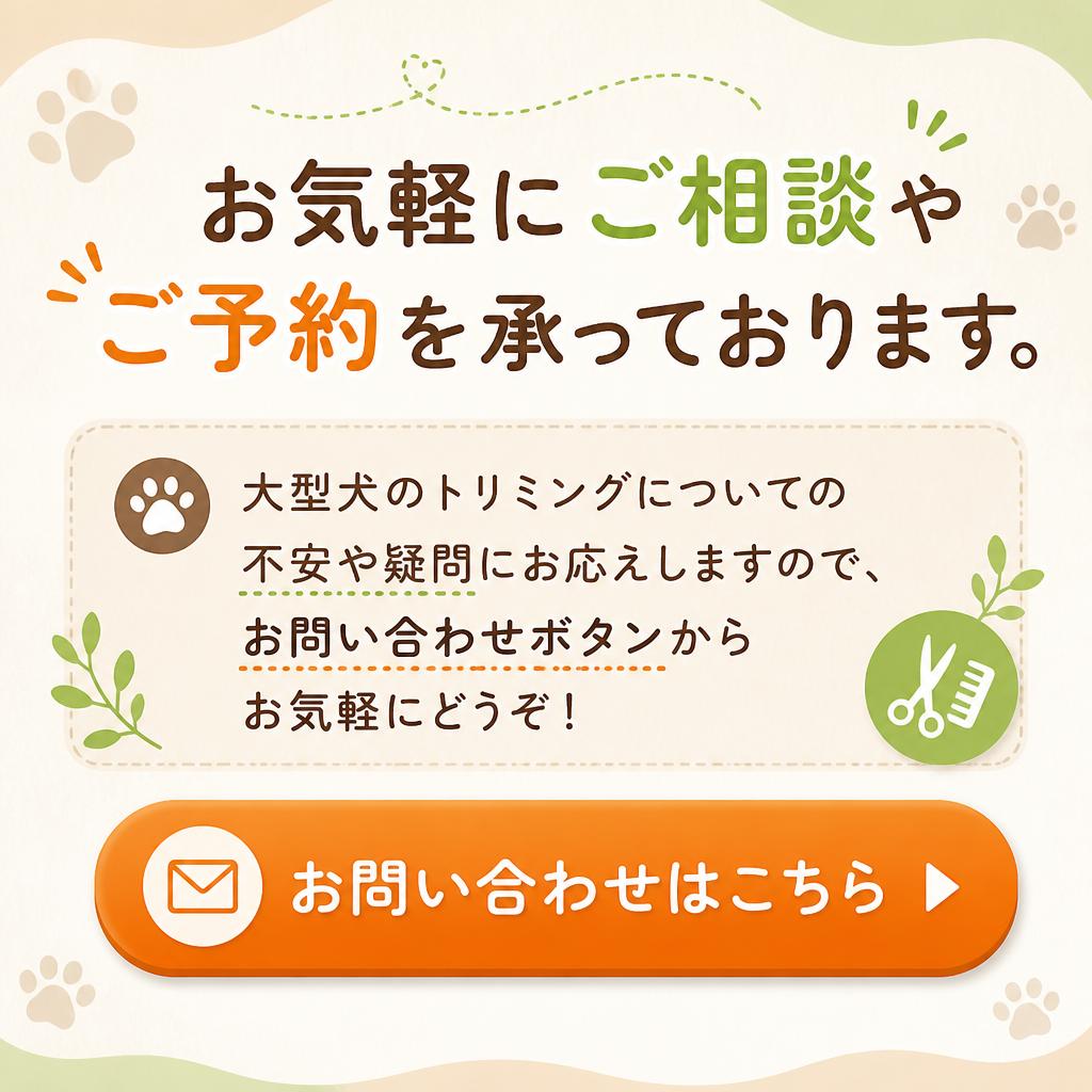 今すぐお問い合わせを！
