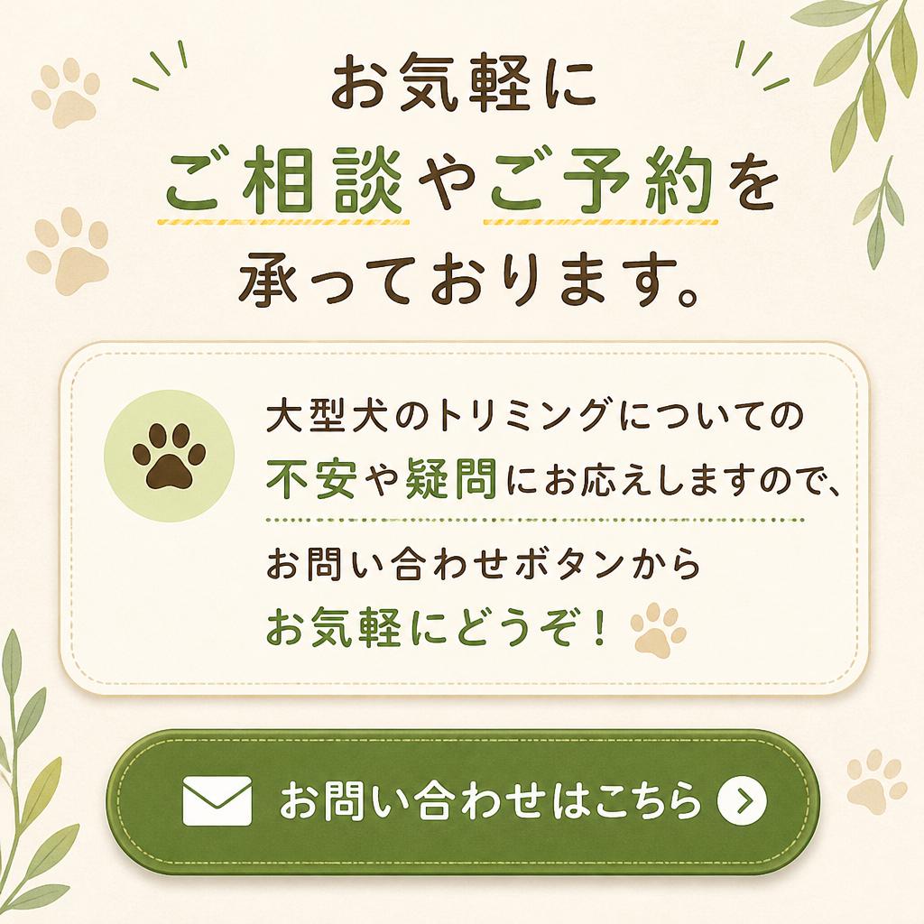 今すぐお問い合わせを！