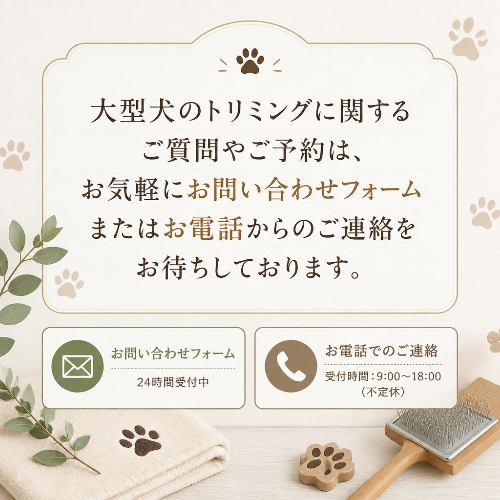 今すぐお問い合わせを！