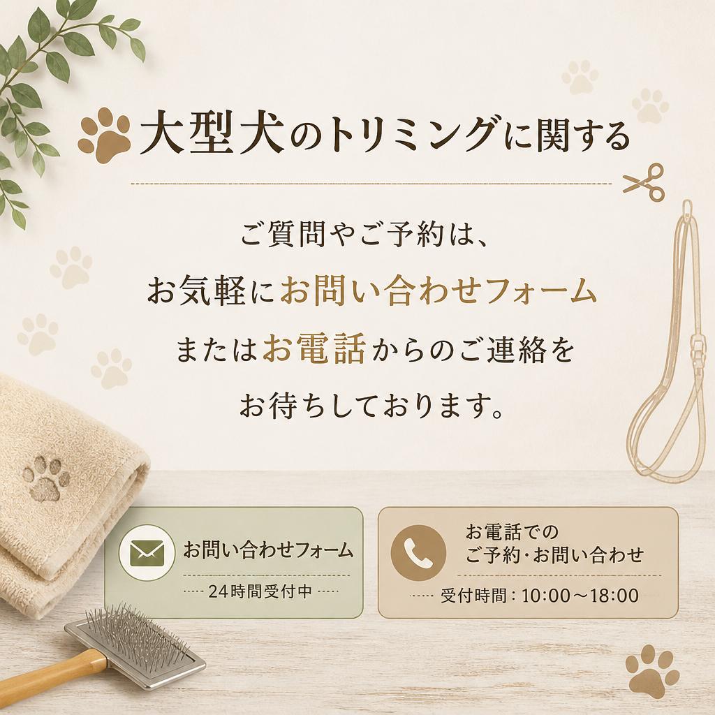 今すぐお問い合わせを！