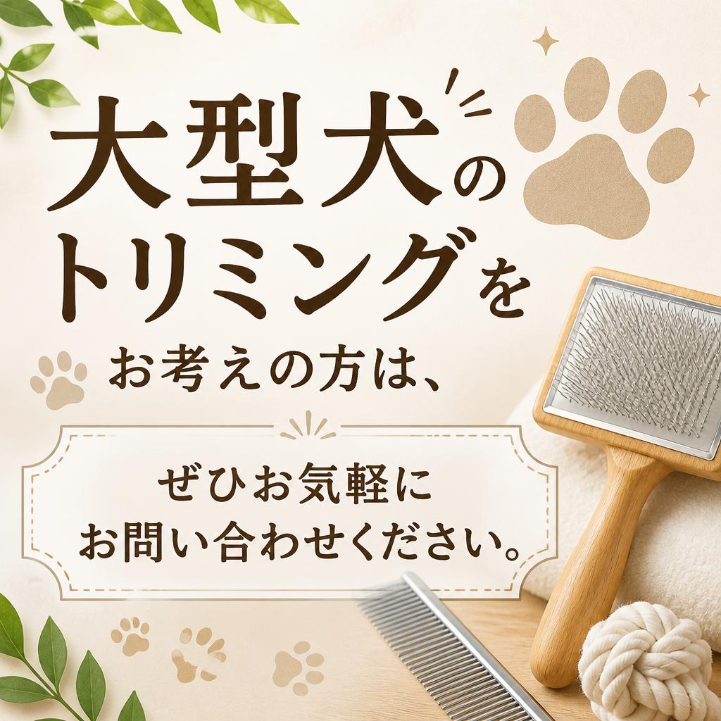 今すぐお問い合わせを！