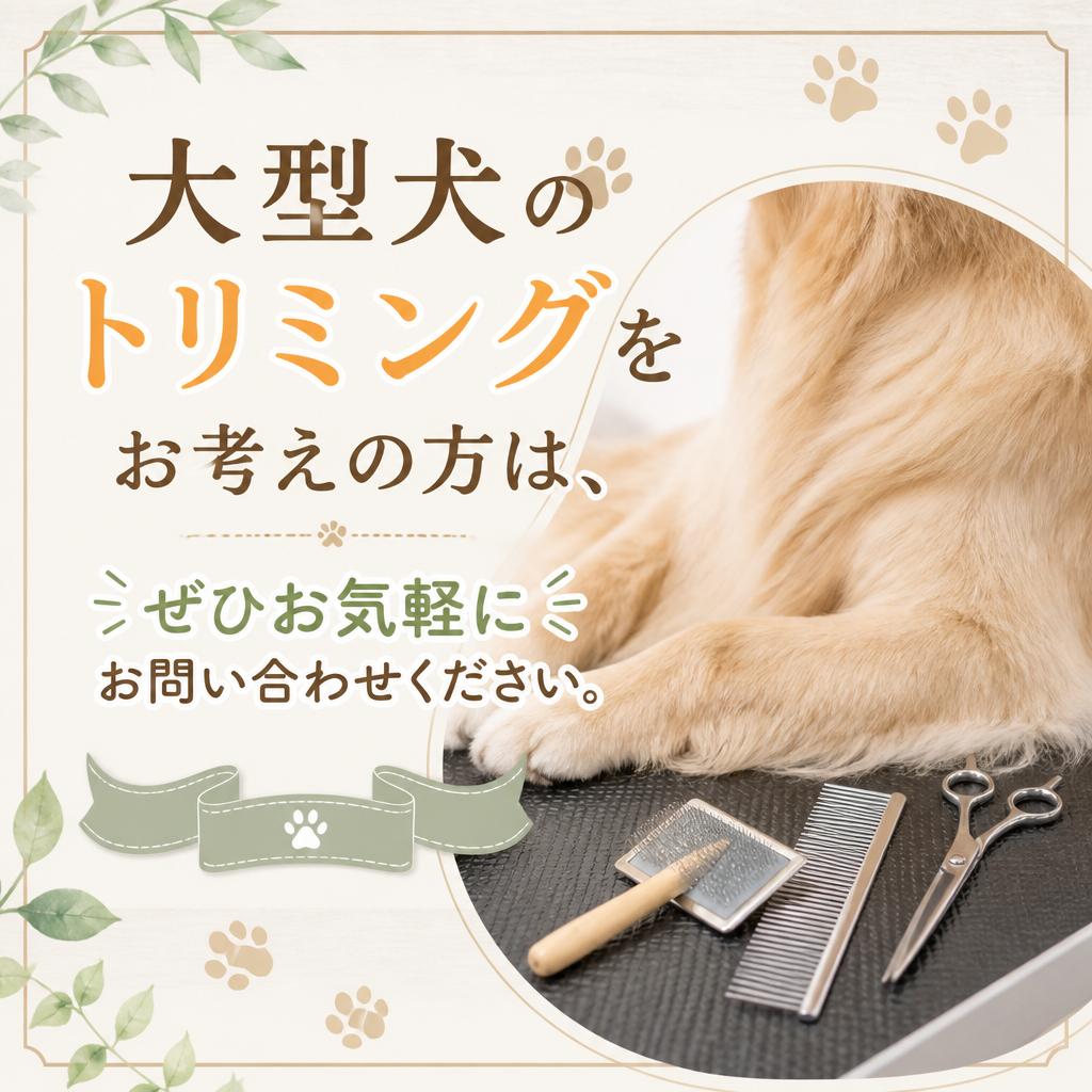 今すぐお問い合わせを！