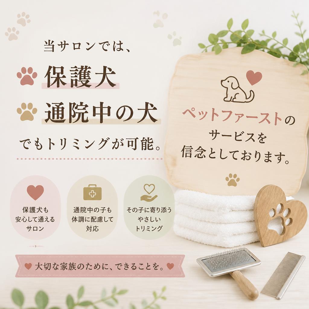保護犬も安心して受けられるトリミング
