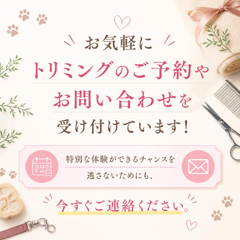 今すぐお問い合わせを！