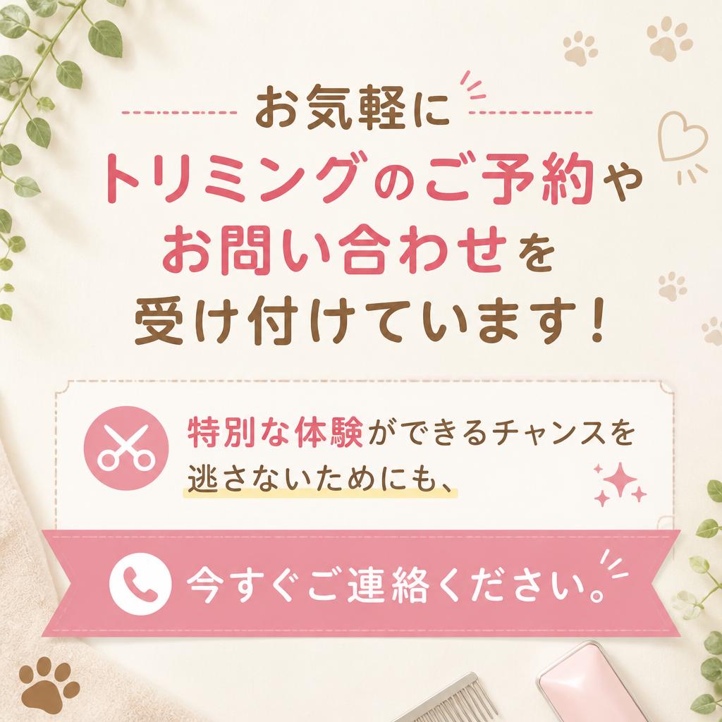 今すぐお問い合わせを！