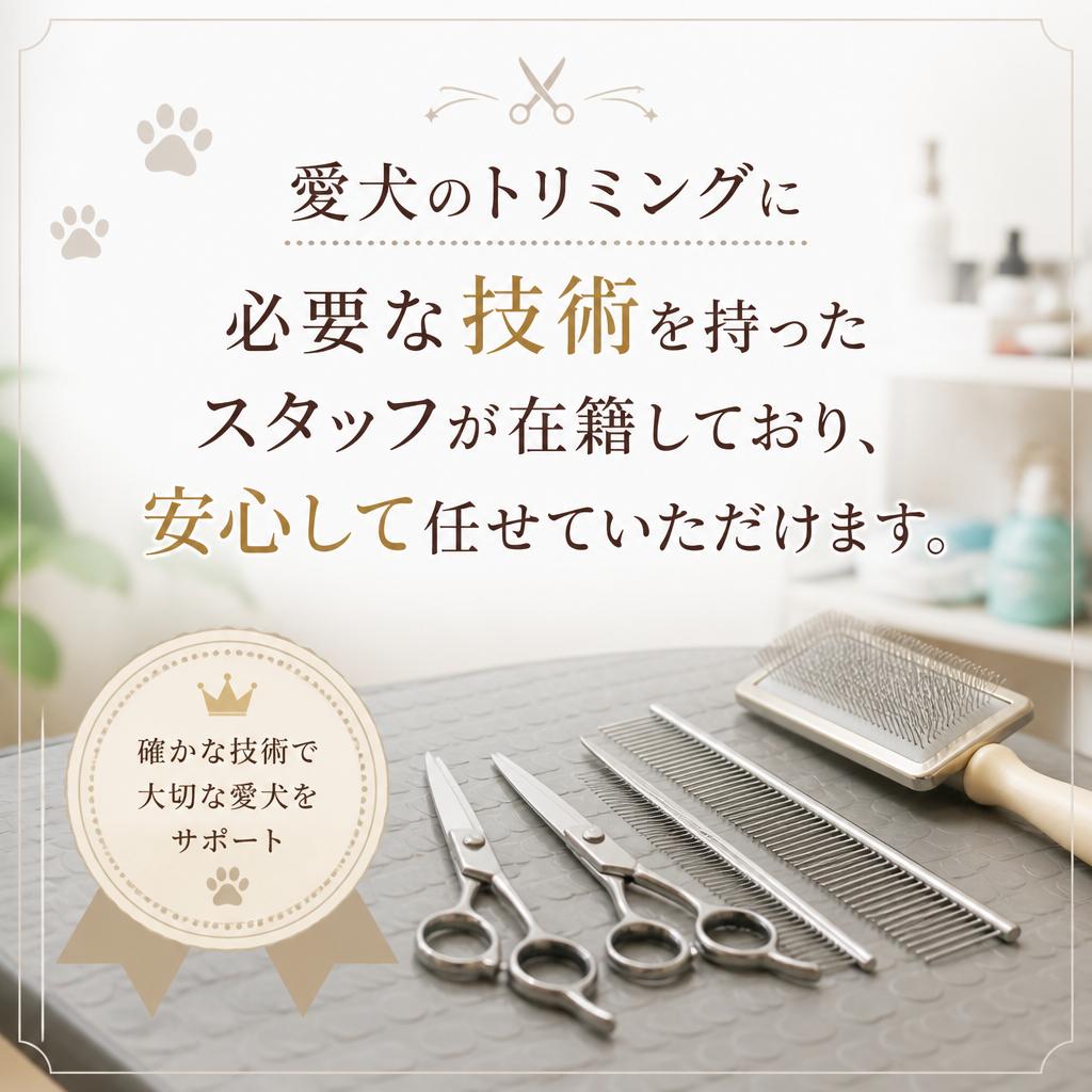 経験豊富なスタッフが担当