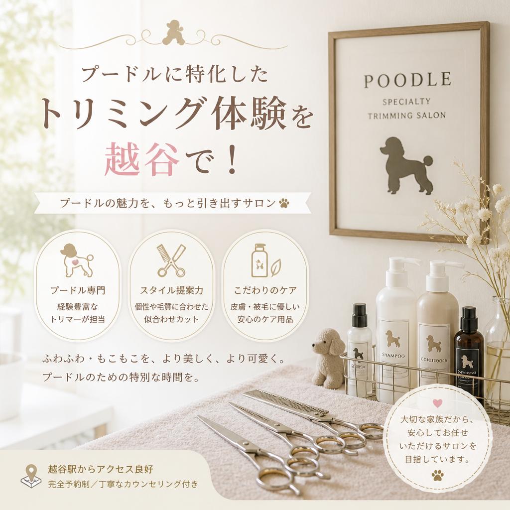 プードルに特化したトリミング体験を越谷で！