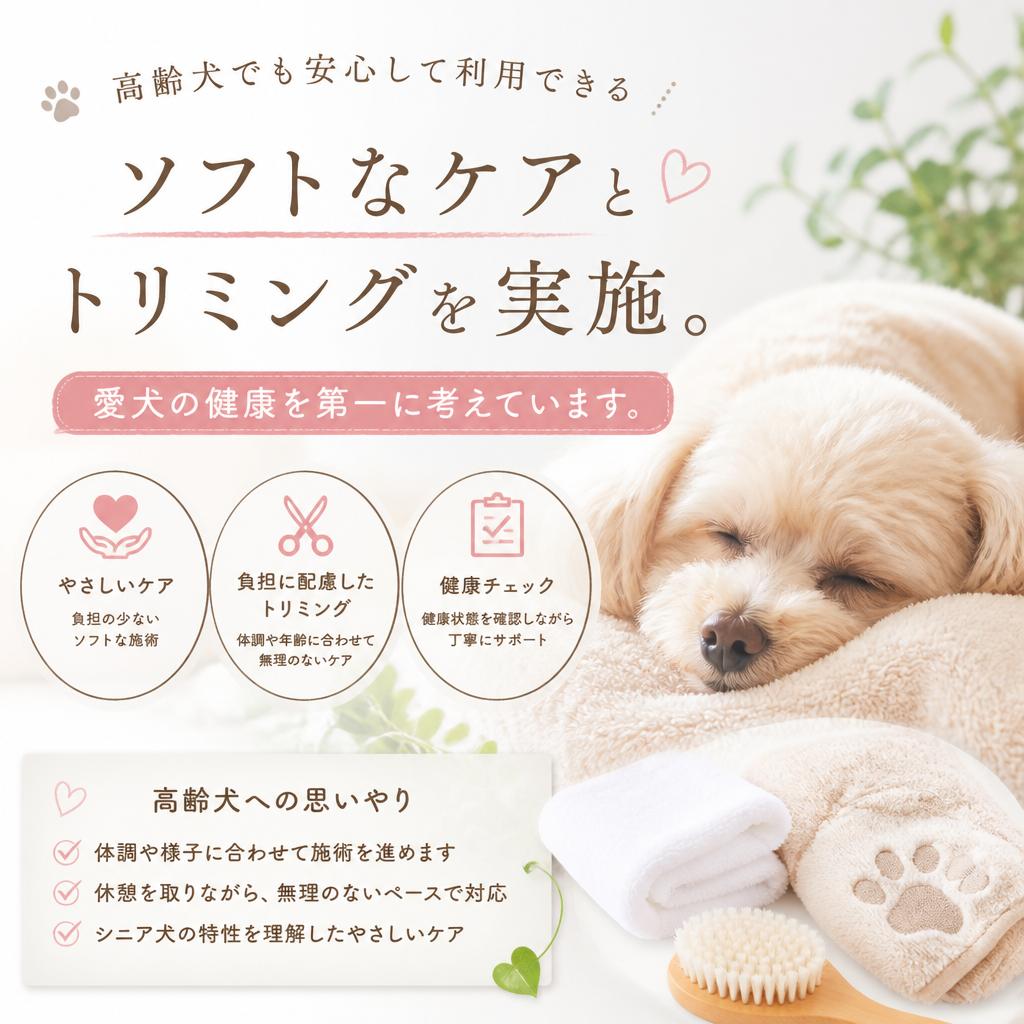 高齢犬への配慮