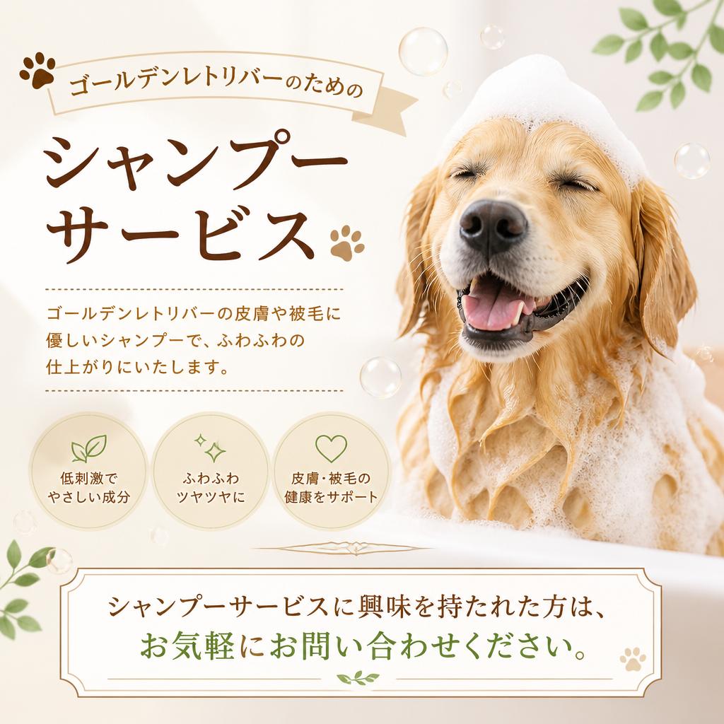 お問い合わせ・予約はこちら