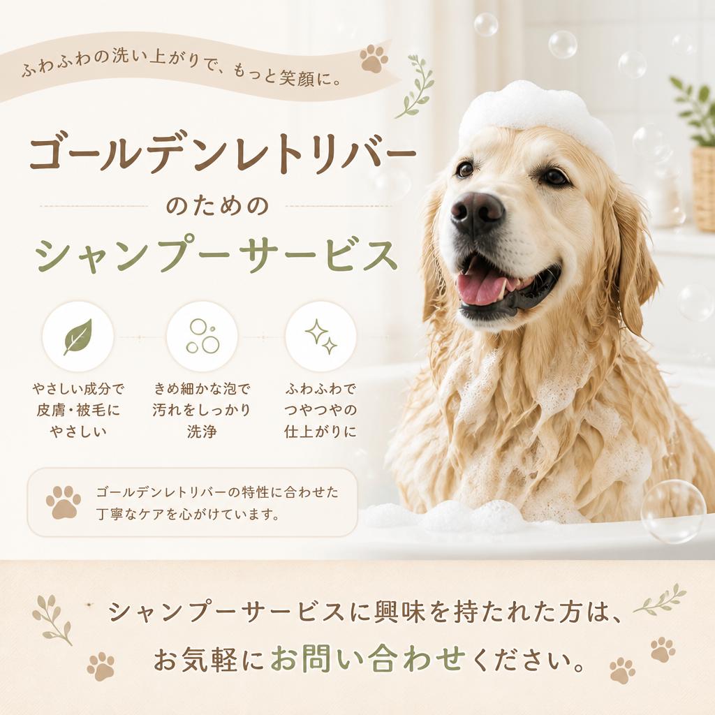 お問い合わせ・予約はこちら