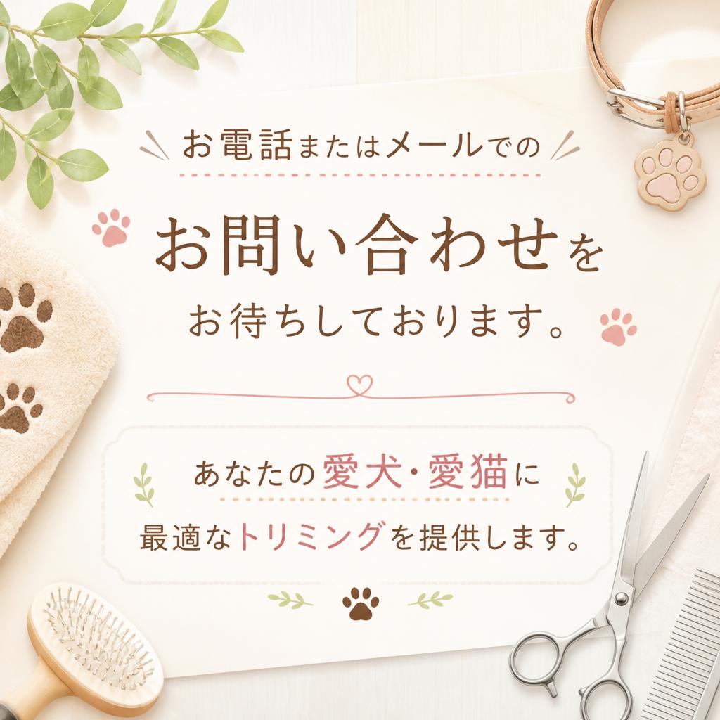 今すぐお問い合わせを！