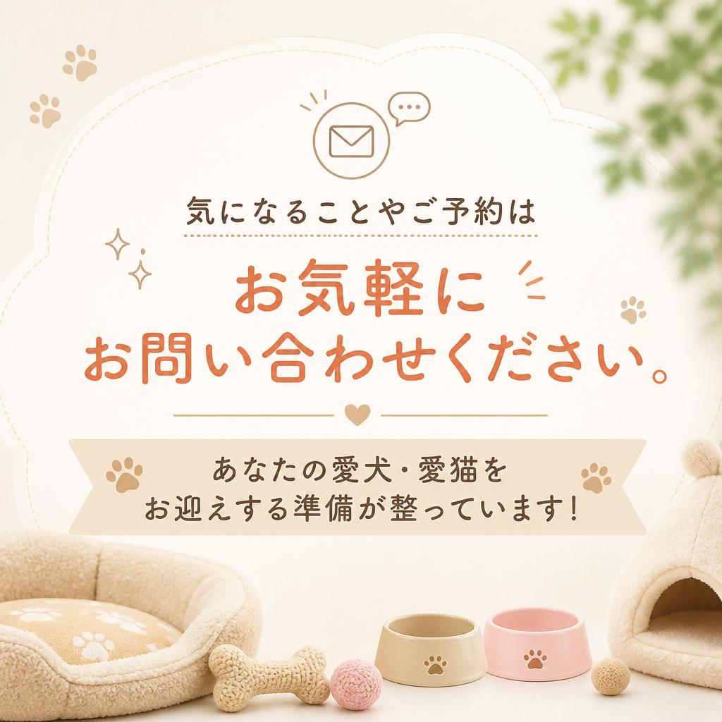 7. お問い合わせ・ご予約はこちらから！