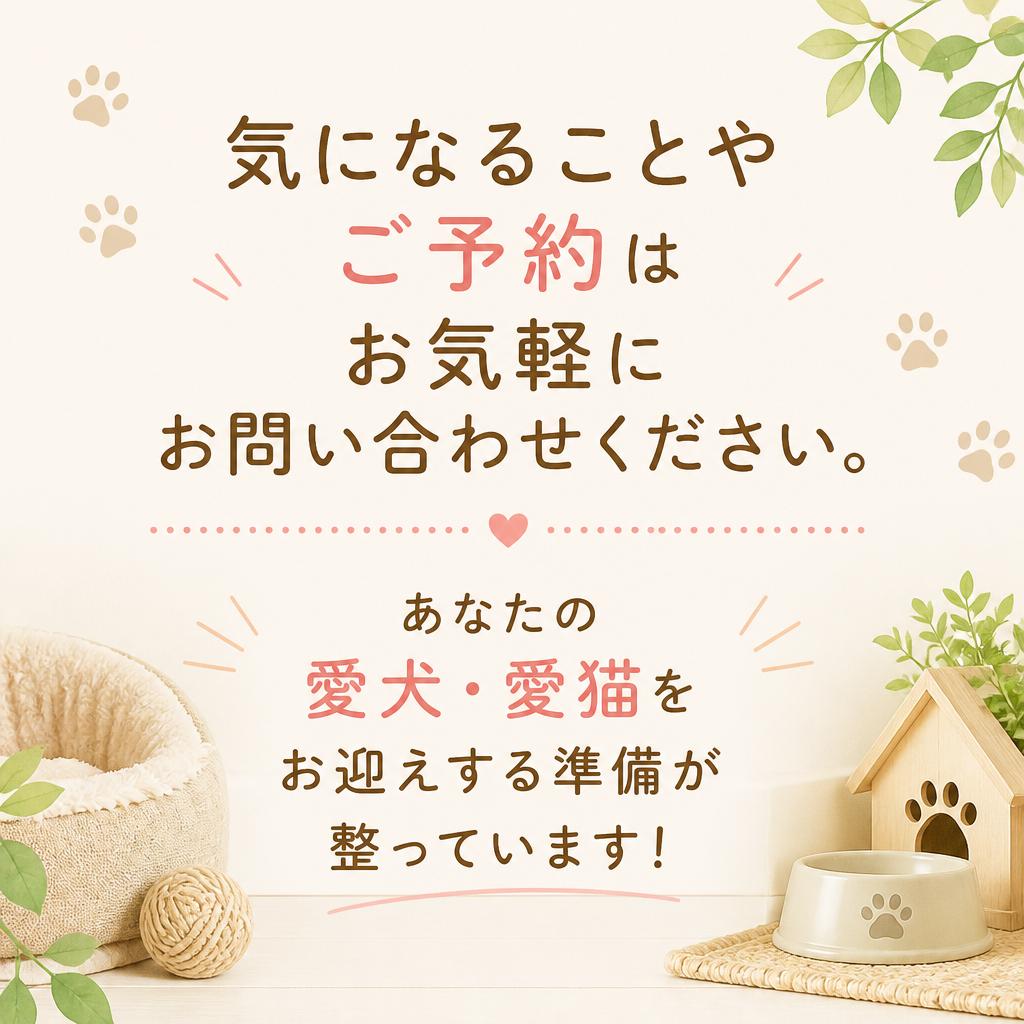7. お問い合わせ・ご予約はこちらから！