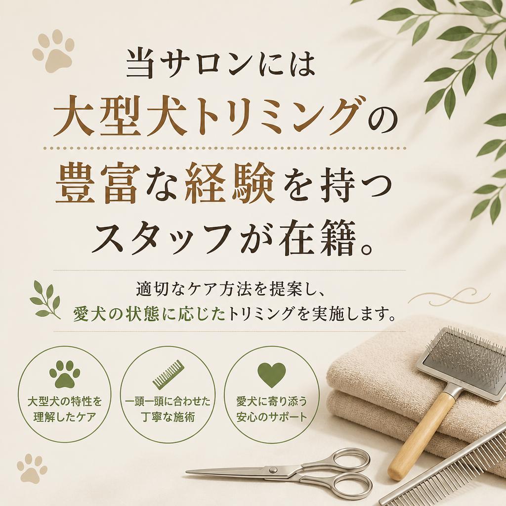 プロの技術と経験