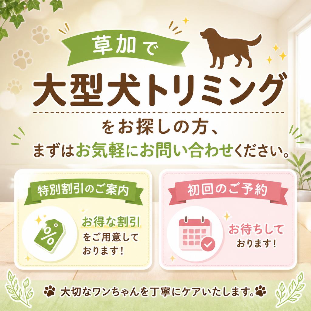今すぐお問い合わせを！