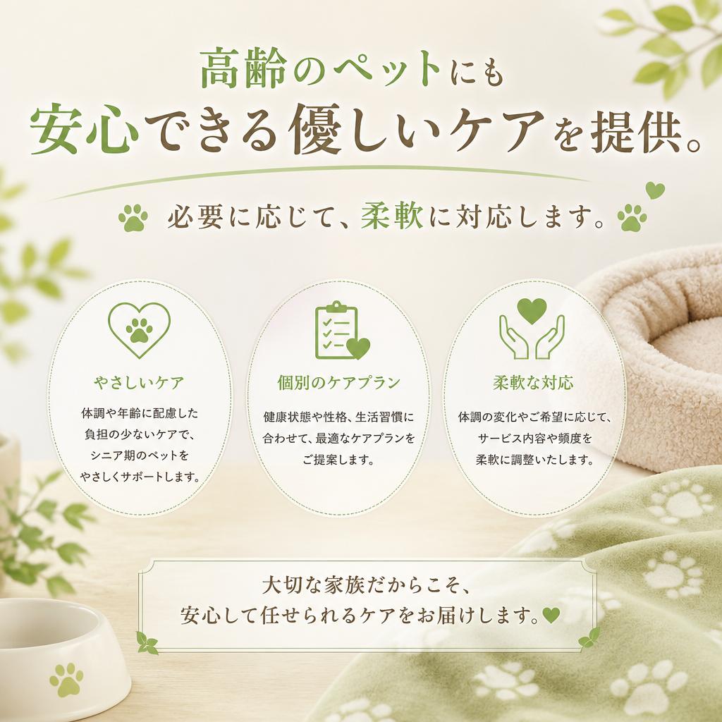5. 老犬にも配慮したケア