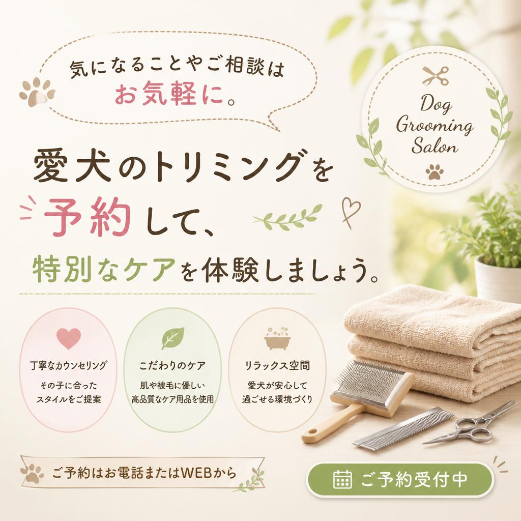 今すぐお問い合わせを！