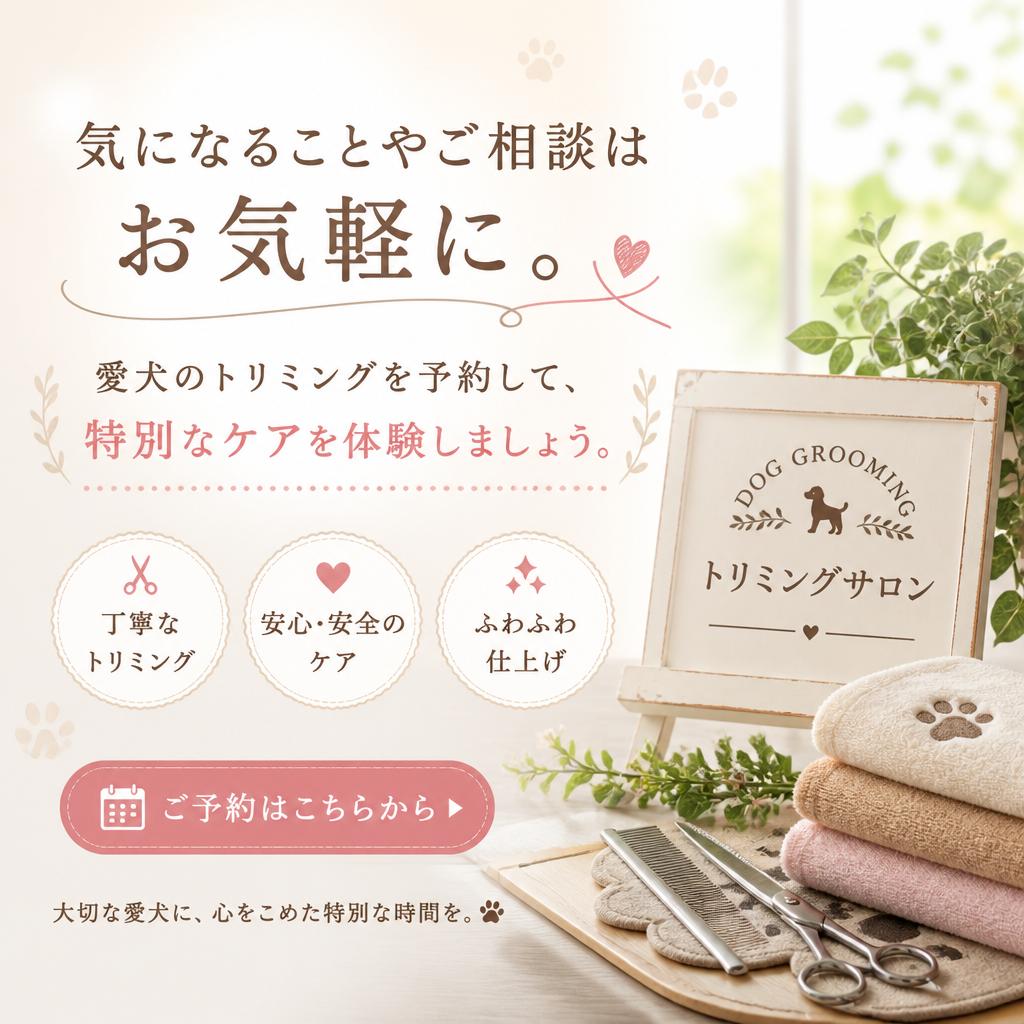今すぐお問い合わせを！
