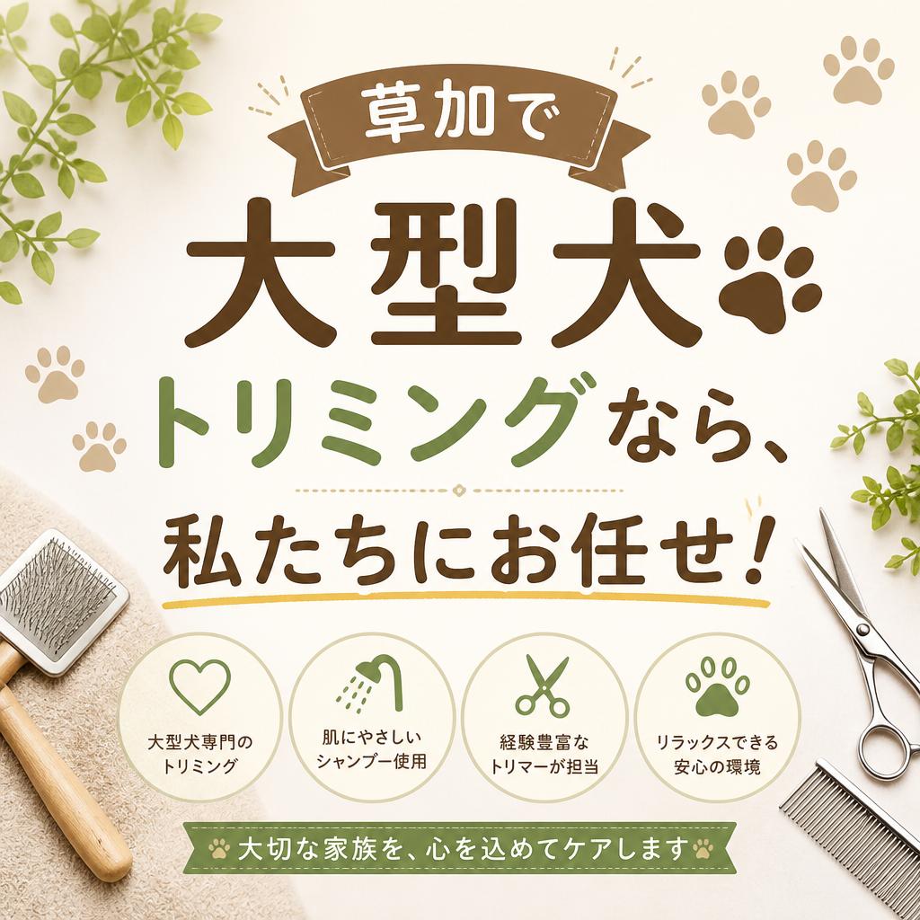 草加で大型犬トリミングなら、私たちにお任せ！