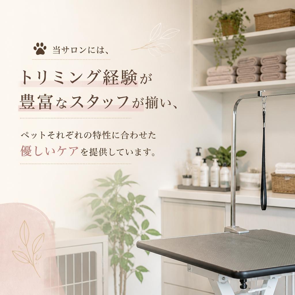 経験豊富なスタッフによる安心サポート