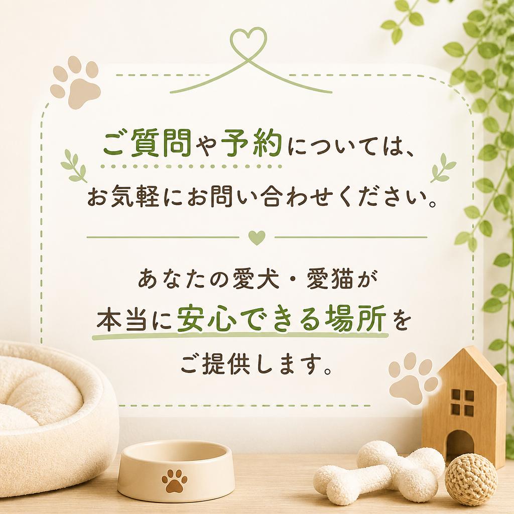 今すぐお問い合わせを