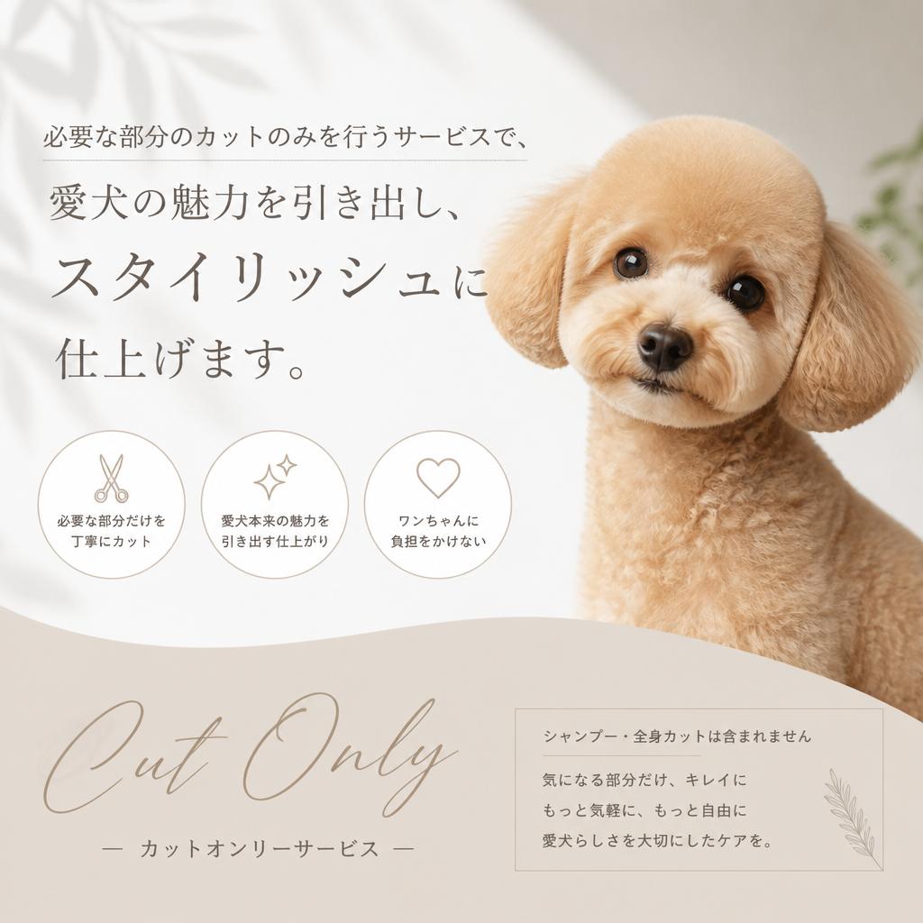 部分カットサービスで可愛さアップ