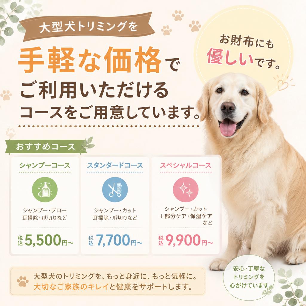 手軽な価格で高品質なサービス