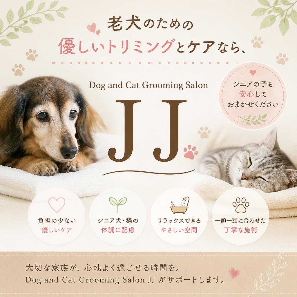 老犬のための優しいトリミングとケアなら、Dog and Cat Grooming Salon JJ！