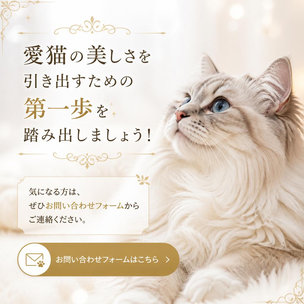 今すぐお問い合わせを！