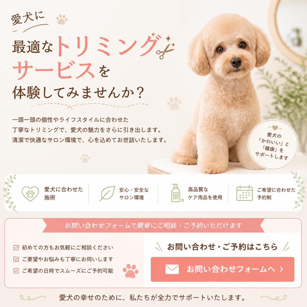 今すぐお問い合わせを！