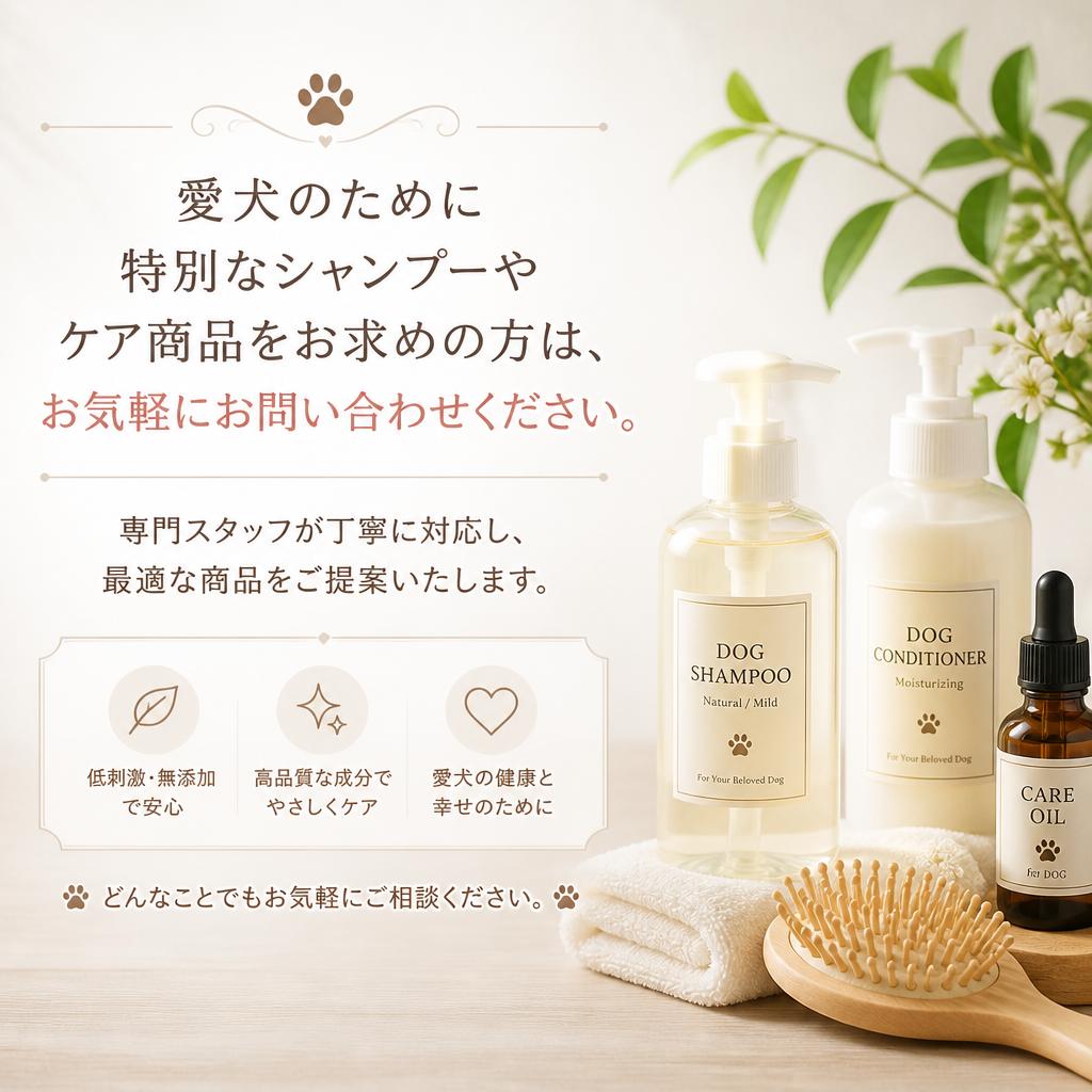 お問い合わせはこちらから！