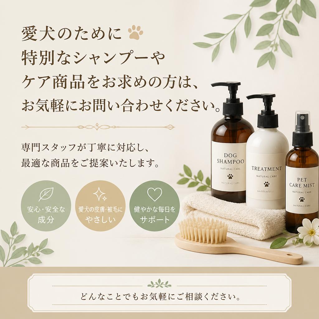 お問い合わせはこちらから！
