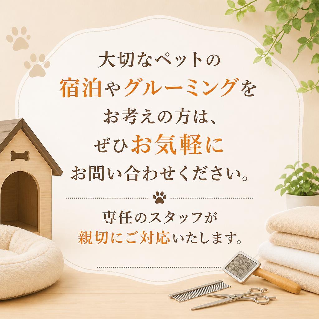 今すぐお問い合わせを！