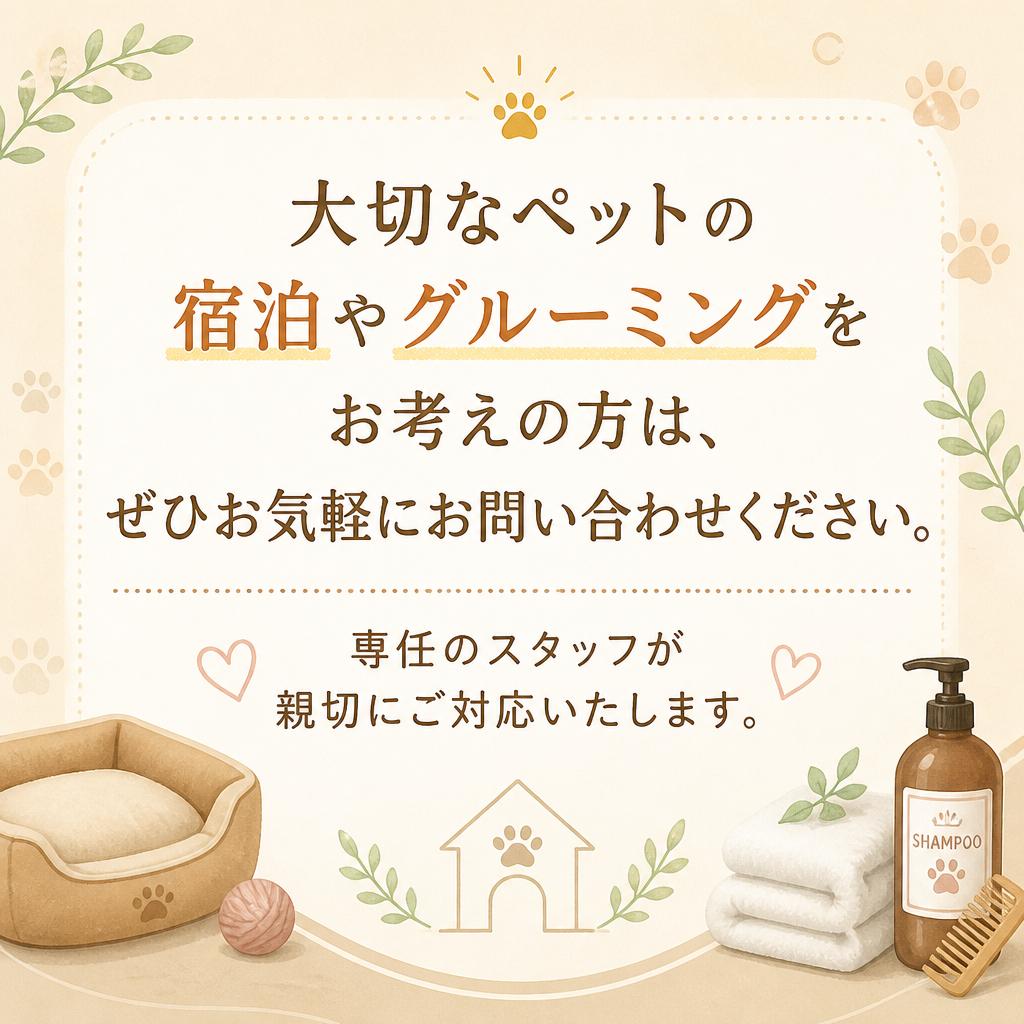 今すぐお問い合わせを！