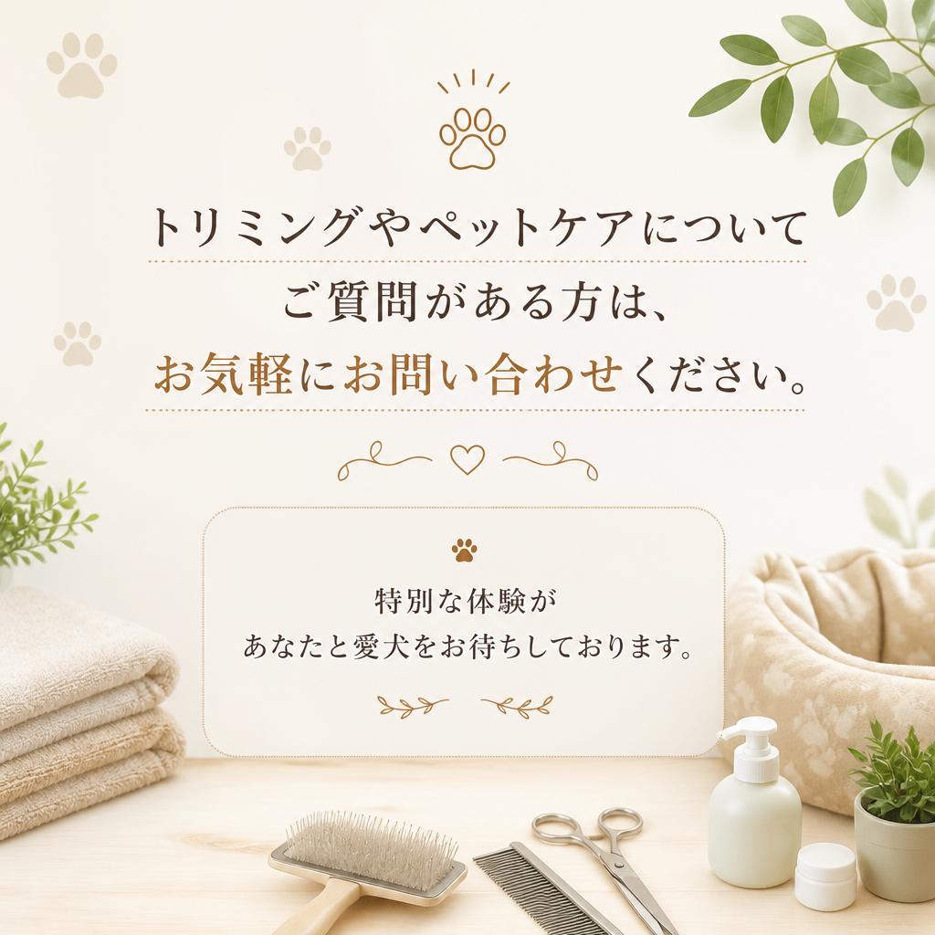 今すぐお問い合わせを！